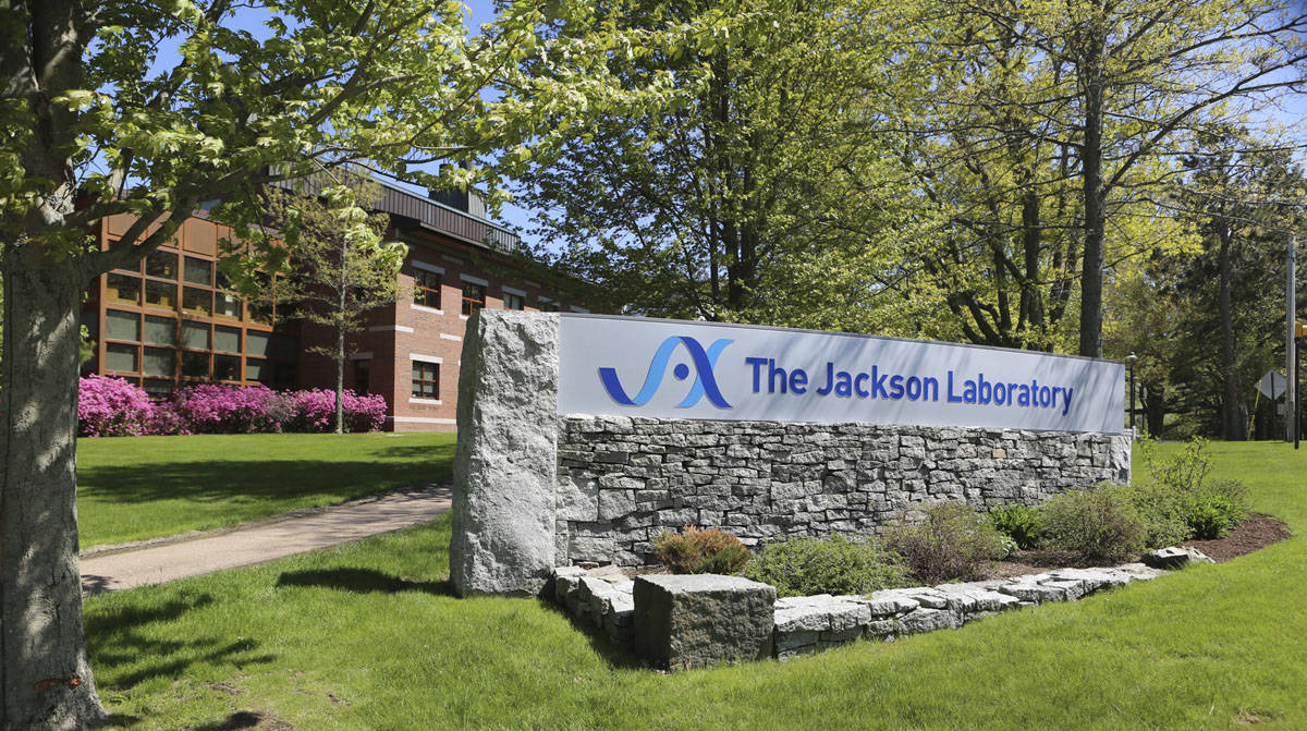 The Jackson Laboratory Cancer Center