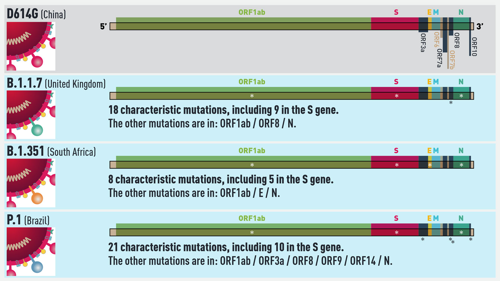 Genomic Surveillance: Tracking The Evolution Of A Pandemic