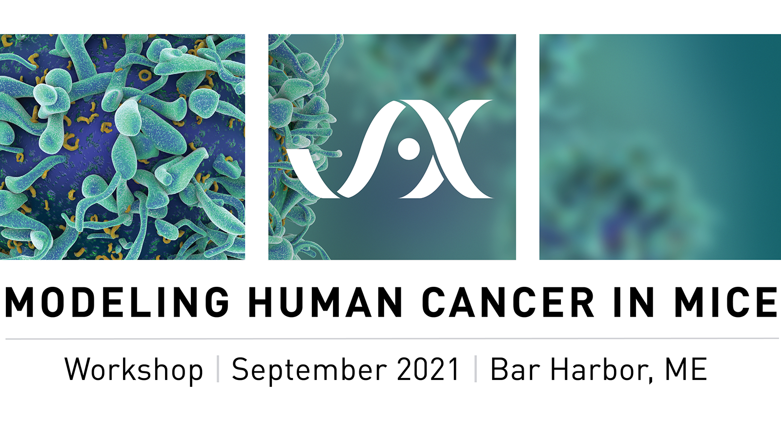 Sep 12 Techniques in Modeling Human Cancer in Mice