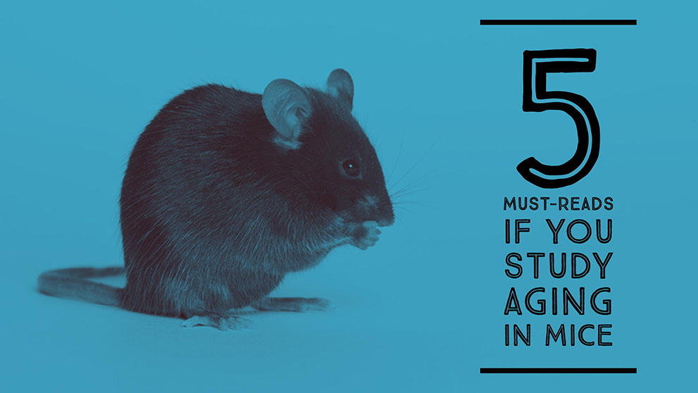 Five must-reads if you study aging in mice