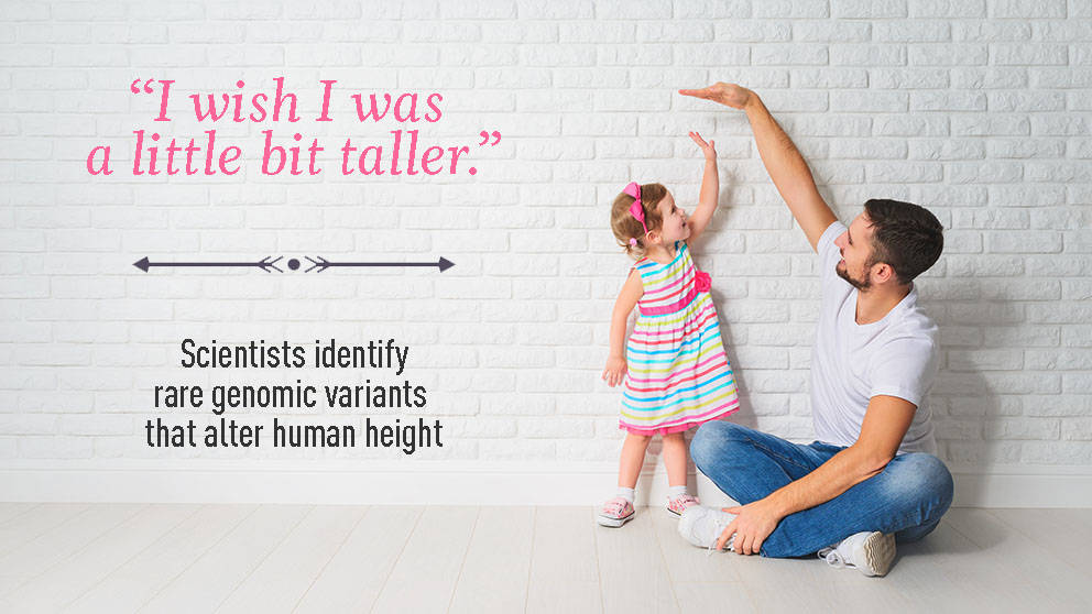 I wish I was a little bit taller Science identifies rare genomic