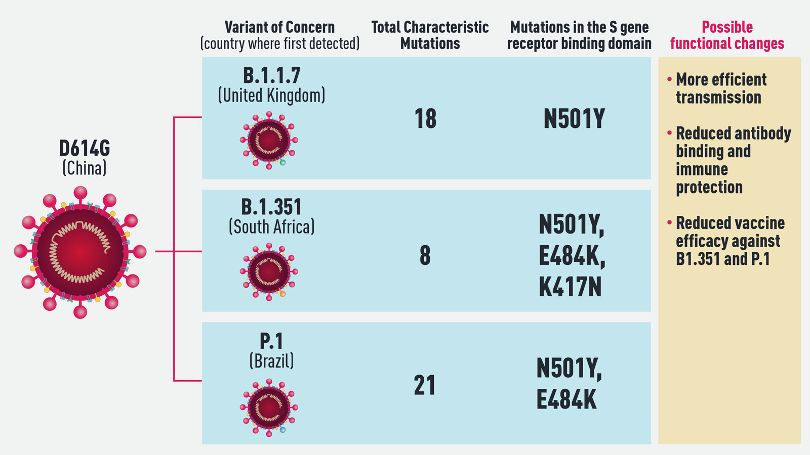 The Changing Face Of The Pandemic New COVID 19 Variants Spark Concern   Variant Web 1 