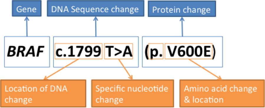 Genomic Testing Nomenclature