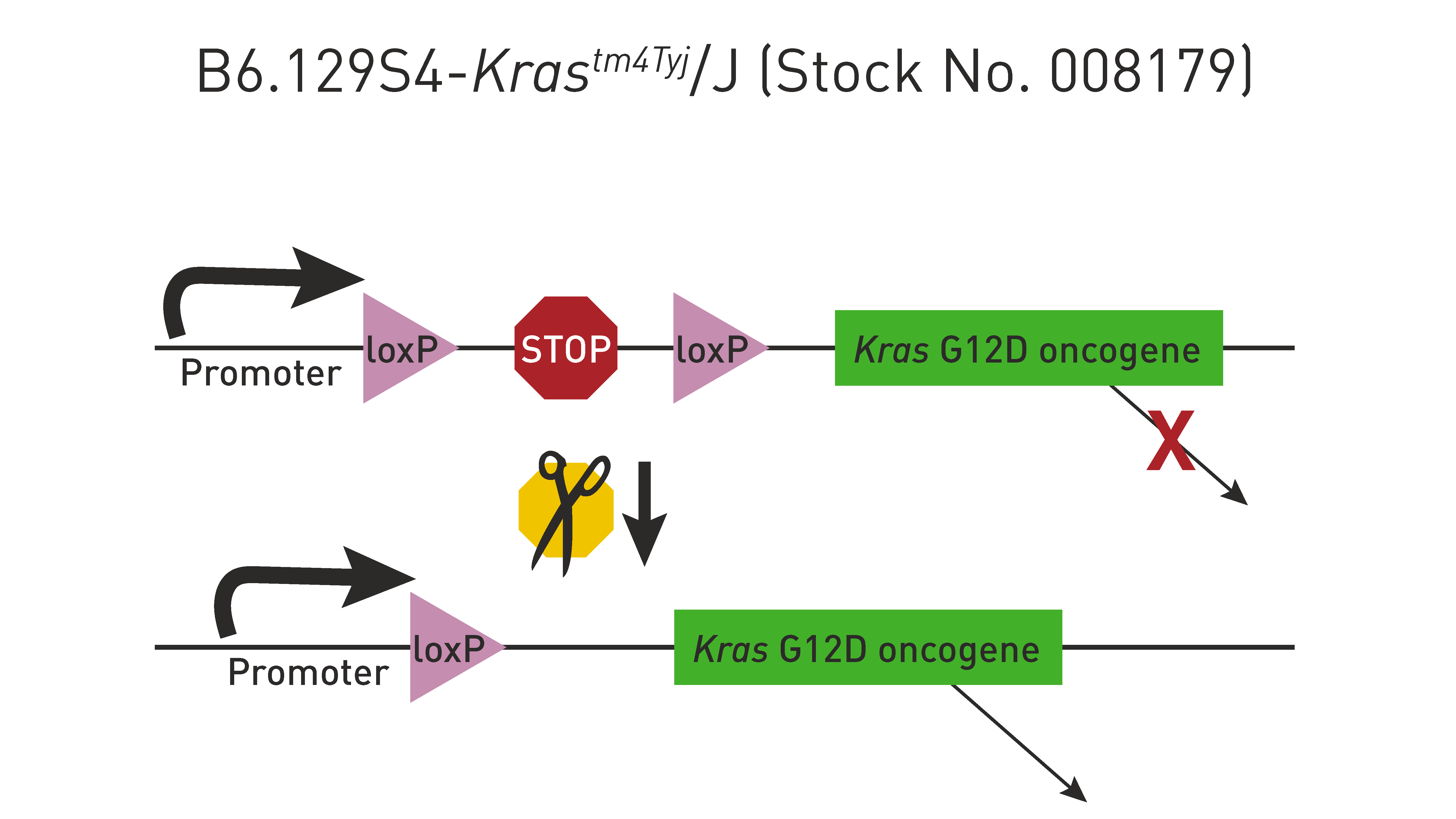 CRE New Dumps