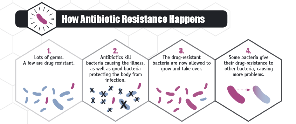 When The Superbug Uprising Occurs, Will We Be Prepared?