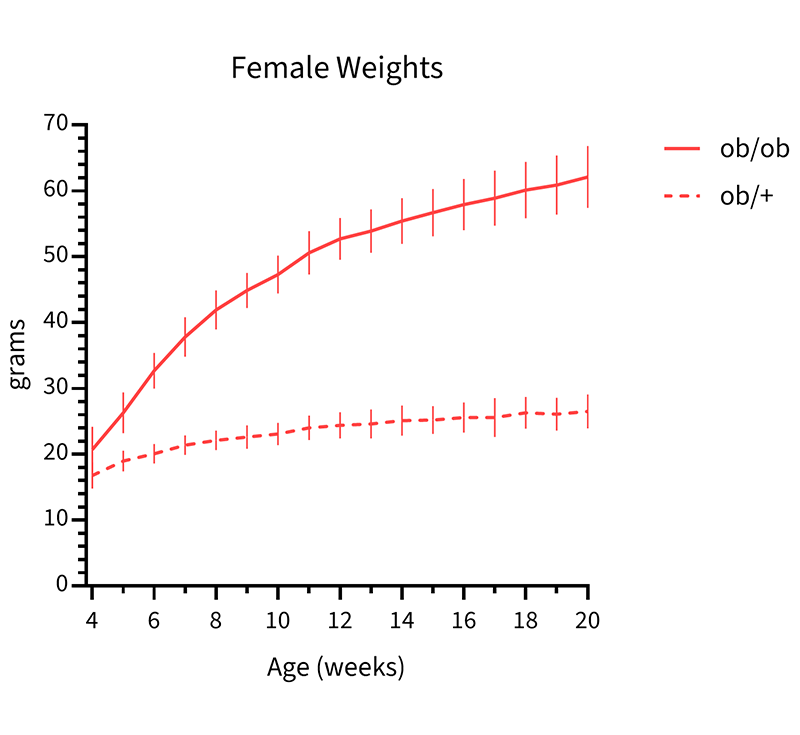 Female Mice Body Weight Info - JAX® Mice Strain B6.Cg-Lepob/J (000632)