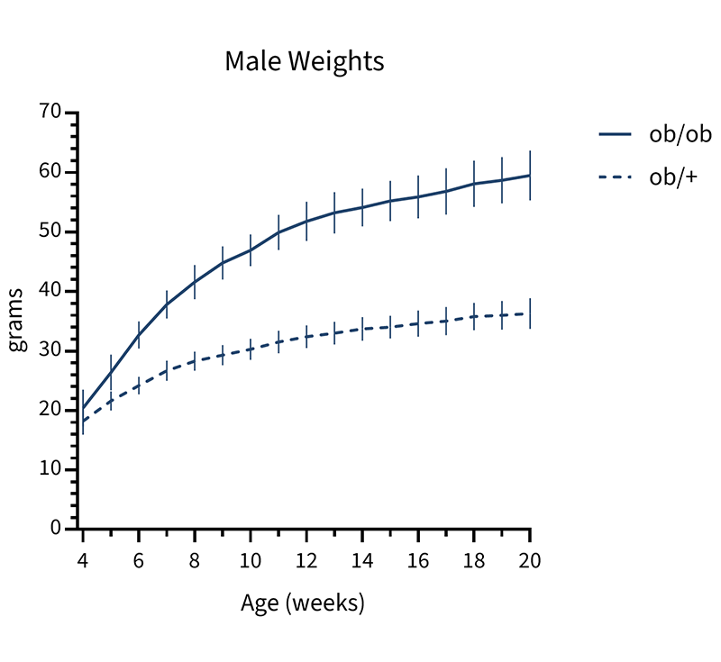 Male Mice Body Weight Info - JAX® Mice Strain B6.Cg-Lepob/J (000632)