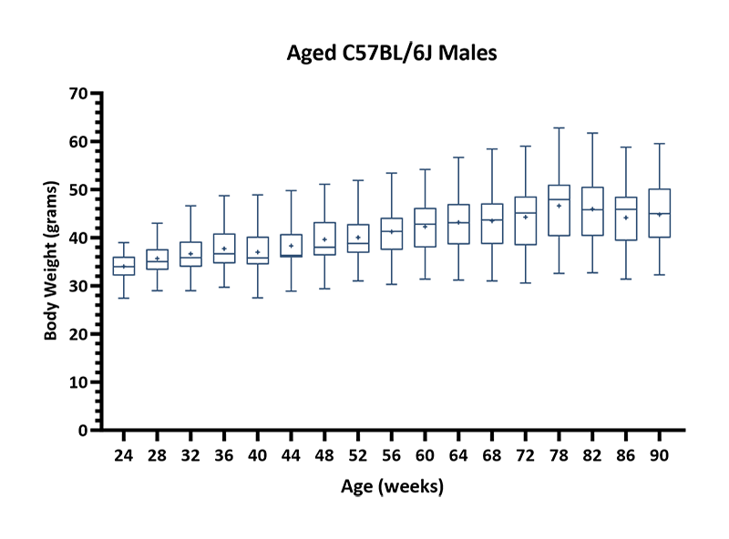 Mouse Body Weight Info - JAX® Mice Strain Aged C57BL/6J Males (000664)