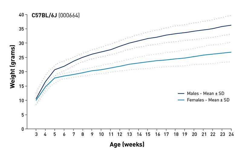Mouse Body Weight Info - JAX® Mice Strain B6 (000664)