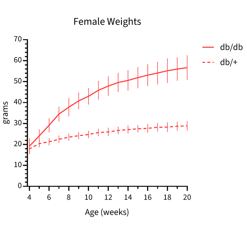 Female Mice Body Weight Info - JAX® Mice Strain B6.BKS(D)-Leprdb/J (000697)