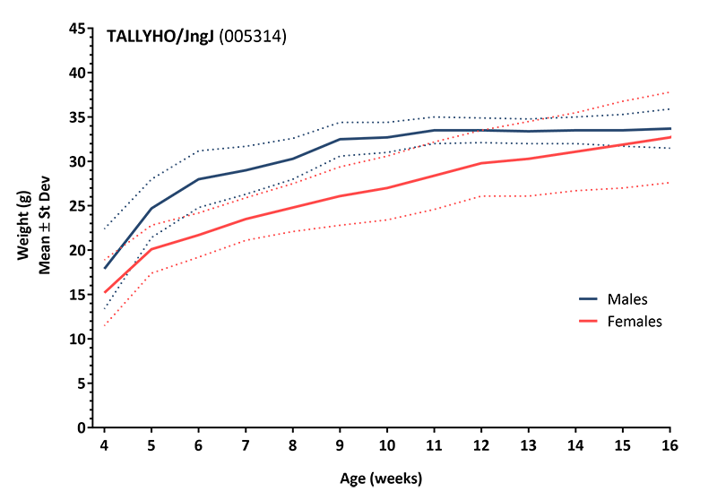 Mouse Body Weight Info - JAX® Mice Strain TALLYHO/JngJ (005314)