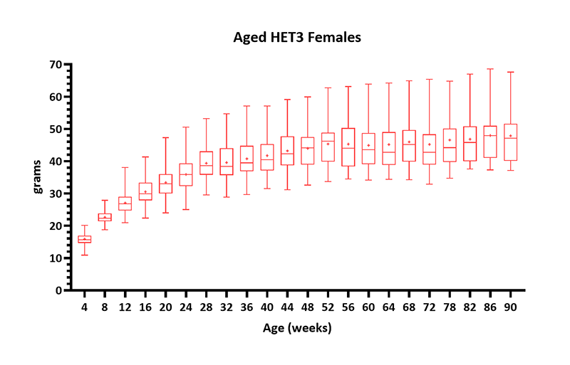 Mouse Body Weight Info (Aged HET3 Females) - JAX® Mice Strain HET3 (036603)
