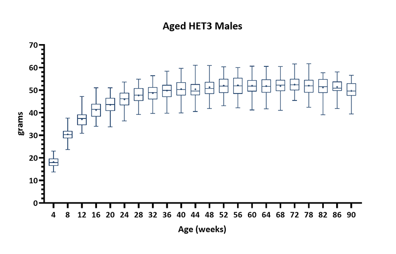 Mouse Body Weight Info (Aged HET3 Males) - JAX® Mice Strain HET3 (036603)