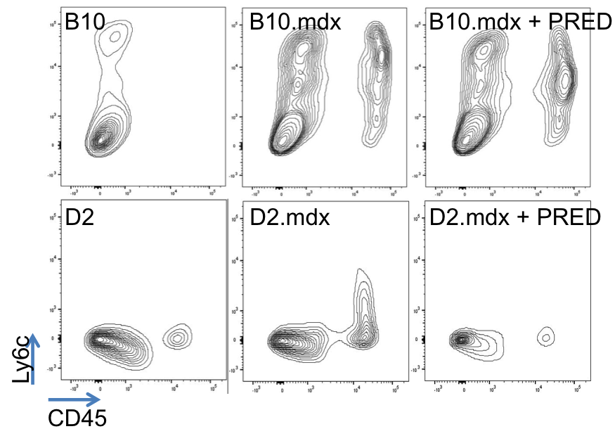 Cell Sorting