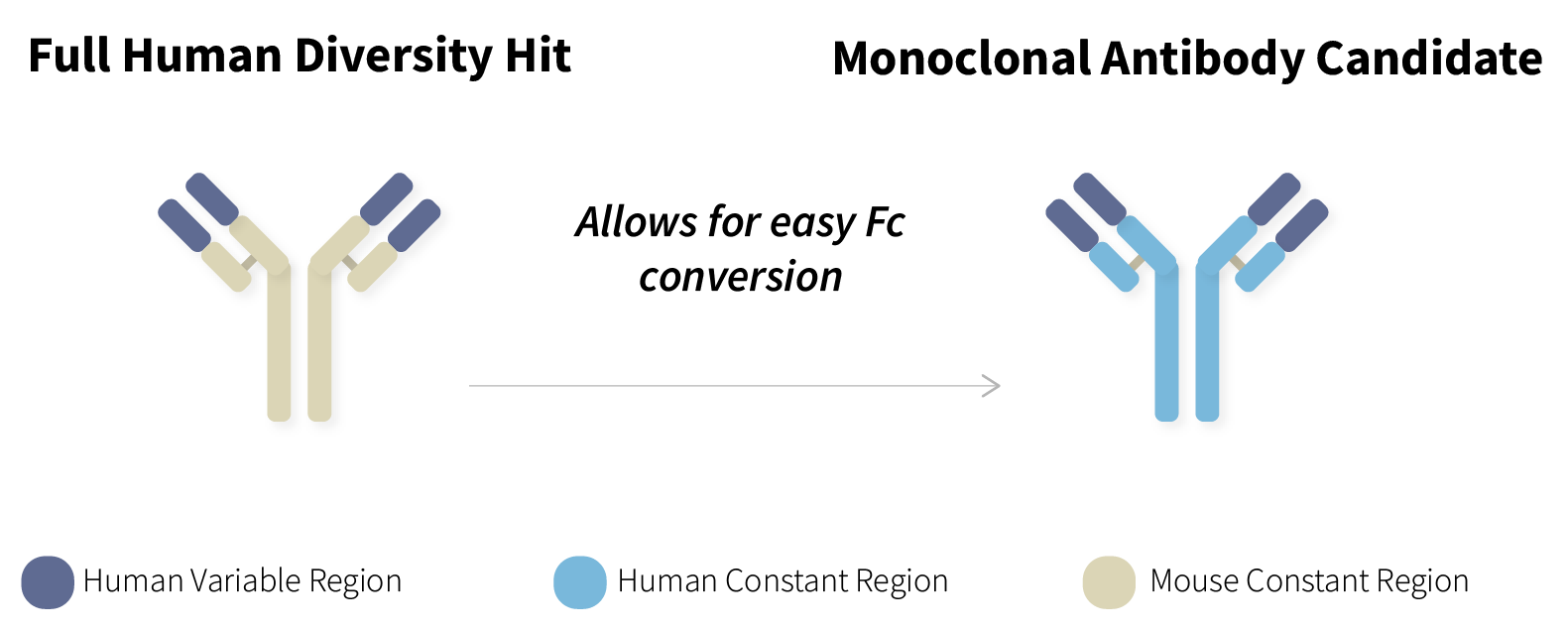 Full Human Diversity Hit and Monoclonal Antibody Candidate