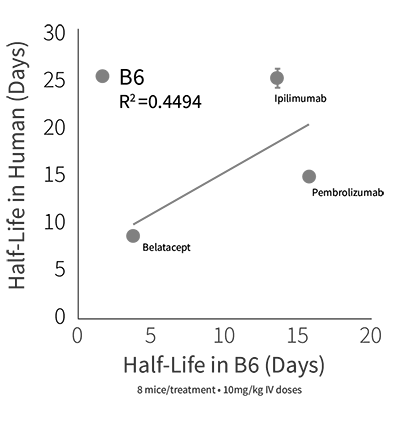 HuPK - Half-Life in B6 (Days)