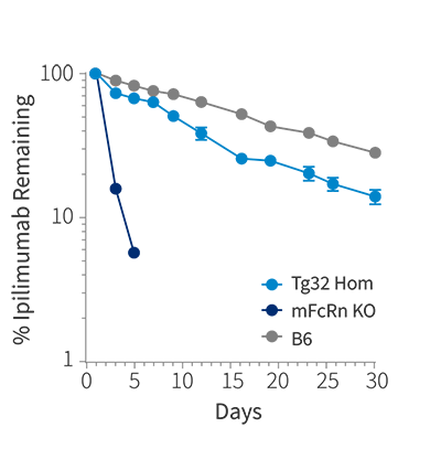 HuPK - Ipilimumab Remaining Percentage