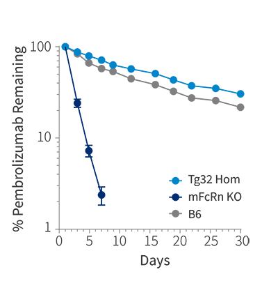 HuPK - Pembrolizumab Remaining Percentage