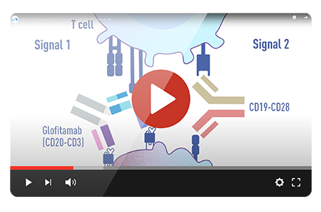 CD19-CD28 Bispecific + FcRn mouse model to predict human PK