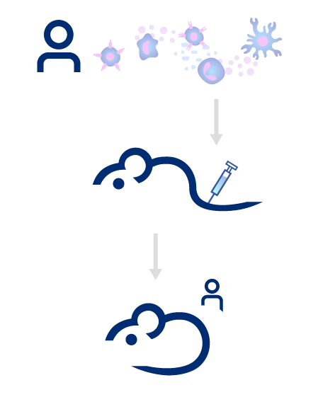 Humanized Mice Solutions | In-Vivo Pharmacology