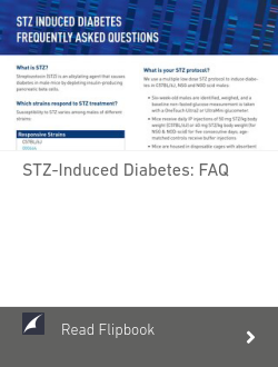 STZ-Induced Diabetes: FAQ