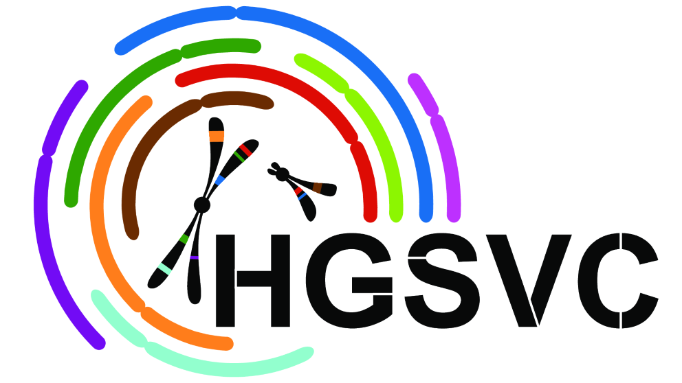The logo to the Human Genome Structural Variation Consortium (HGSVC)