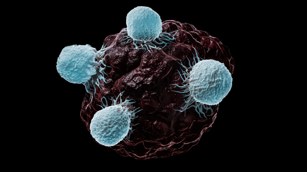 A computer rendering of t-cells attacking a cancer cell.