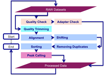 atac pipeline data seq sequencing processing research transposase accessible assay chromatin interfacing throughput